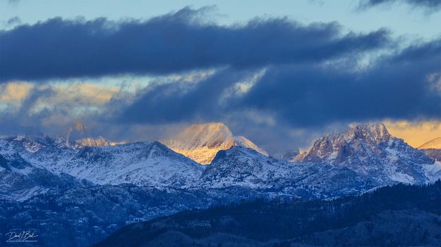 Backlit. Photo by Dave Bell.
