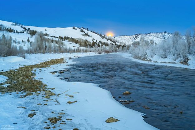 Almost Gone. Photo by Dave Bell.