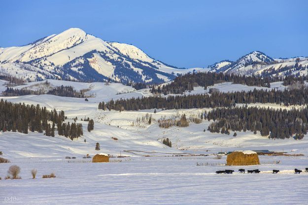 Mountain Ranching. Photo by Dave Bell.