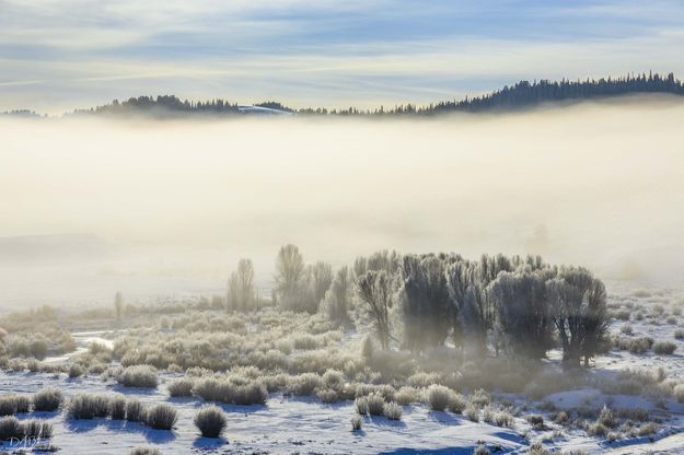 Foggy Bottom. Photo by Dave Bell.