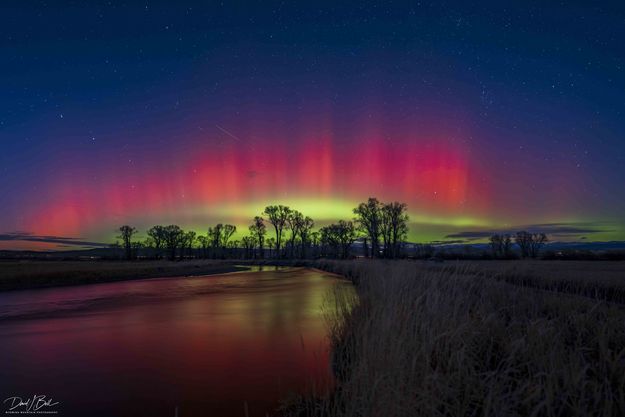 . Photo by Dave Bell.