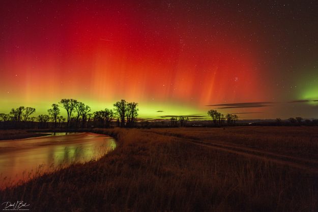 . Photo by Dave Bell.