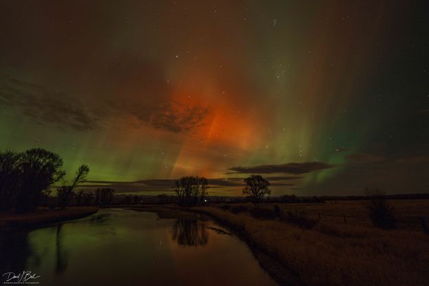 . Photo by Dave Bell.