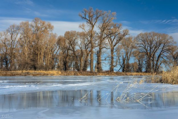 . Photo by Dave Bell.