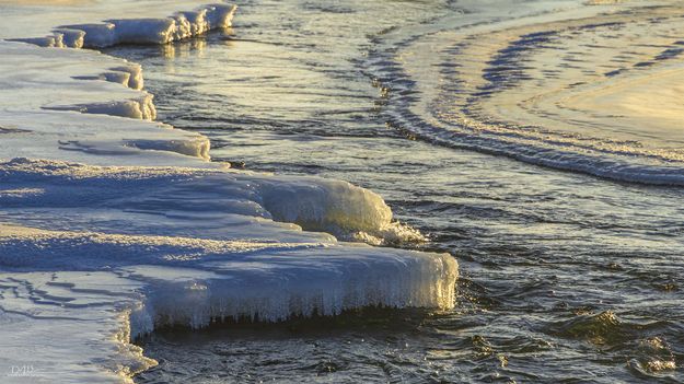 . Photo by Dave Bell.