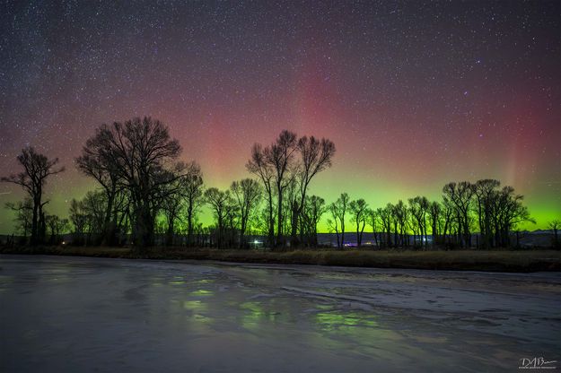 . Photo by Dave Bell.